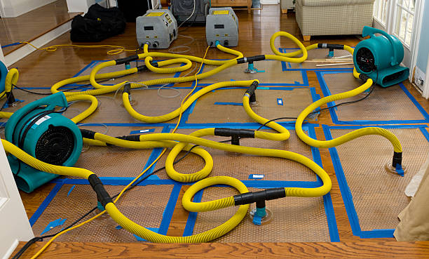 Professional Sewage Cleanup technician working in Blue Earth, MN